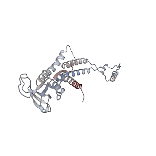 4684_6qz9_0j_v1-0
The cryo-EM structure of the collar complex and tail axis in bacteriophage phi29