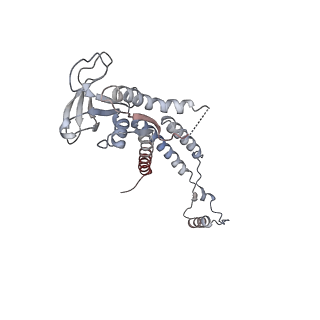 4684_6qz9_0l_v1-0
The cryo-EM structure of the collar complex and tail axis in bacteriophage phi29