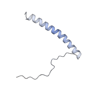 4684_6qz9_H_v1-0
The cryo-EM structure of the collar complex and tail axis in bacteriophage phi29