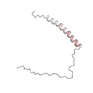 4684_6qz9_I_v1-0
The cryo-EM structure of the collar complex and tail axis in bacteriophage phi29