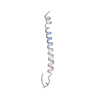 4684_6qz9_M_v1-0
The cryo-EM structure of the collar complex and tail axis in bacteriophage phi29