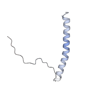 4684_6qz9_N_v1-0
The cryo-EM structure of the collar complex and tail axis in bacteriophage phi29