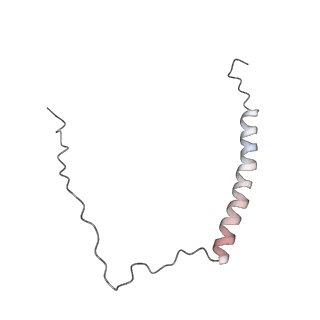 4684_6qz9_O_v1-0
The cryo-EM structure of the collar complex and tail axis in bacteriophage phi29