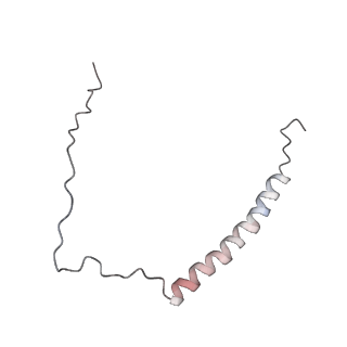 4684_6qz9_R_v1-0
The cryo-EM structure of the collar complex and tail axis in bacteriophage phi29