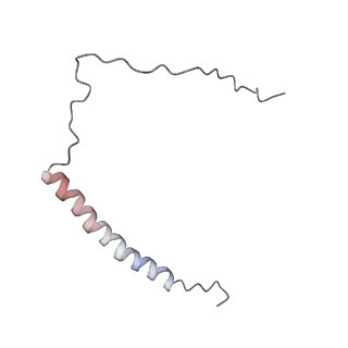 4684_6qz9_a_v1-0
The cryo-EM structure of the collar complex and tail axis in bacteriophage phi29