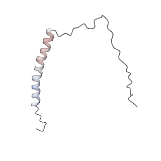 4684_6qz9_g_v1-0
The cryo-EM structure of the collar complex and tail axis in bacteriophage phi29