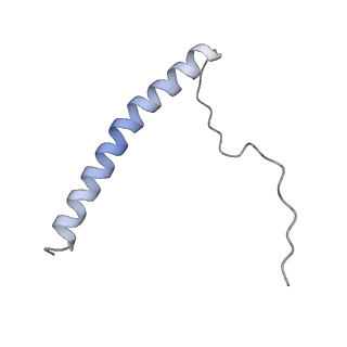 4684_6qz9_i_v1-0
The cryo-EM structure of the collar complex and tail axis in bacteriophage phi29
