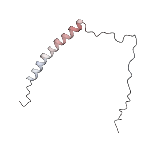 4684_6qz9_j_v1-0
The cryo-EM structure of the collar complex and tail axis in bacteriophage phi29