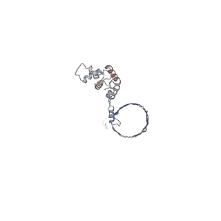 4685_6qzf_0H_v1-2
The cryo-EM structure of the collar complex and tail axis in genome emptied bacteriophage phi29