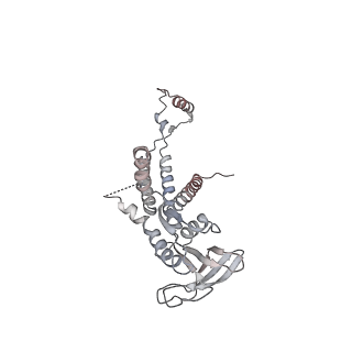 4685_6qzf_0a_v1-2
The cryo-EM structure of the collar complex and tail axis in genome emptied bacteriophage phi29