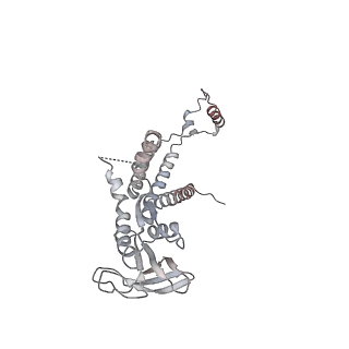 4685_6qzf_0b_v1-2
The cryo-EM structure of the collar complex and tail axis in genome emptied bacteriophage phi29