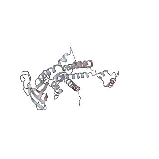 4685_6qzf_0d_v1-2
The cryo-EM structure of the collar complex and tail axis in genome emptied bacteriophage phi29