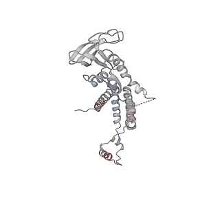 4685_6qzf_0g_v1-2
The cryo-EM structure of the collar complex and tail axis in genome emptied bacteriophage phi29