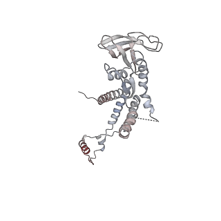 4685_6qzf_0h_v1-2
The cryo-EM structure of the collar complex and tail axis in genome emptied bacteriophage phi29