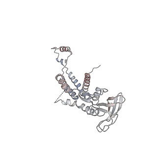 4685_6qzf_0j_v1-2
The cryo-EM structure of the collar complex and tail axis in genome emptied bacteriophage phi29