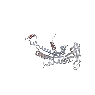 4685_6qzf_0k_v1-2
The cryo-EM structure of the collar complex and tail axis in genome emptied bacteriophage phi29