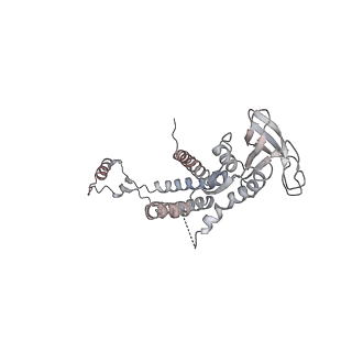 4685_6qzf_0l_v1-2
The cryo-EM structure of the collar complex and tail axis in genome emptied bacteriophage phi29