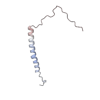 4685_6qzf_F_v1-2
The cryo-EM structure of the collar complex and tail axis in genome emptied bacteriophage phi29