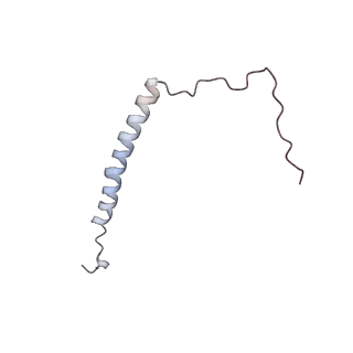 4685_6qzf_I_v1-2
The cryo-EM structure of the collar complex and tail axis in genome emptied bacteriophage phi29