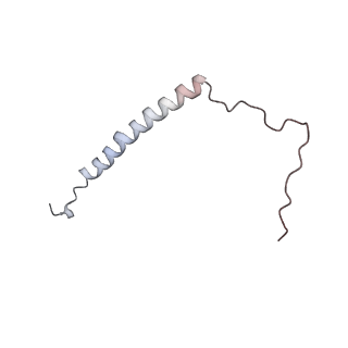 4685_6qzf_L_v1-2
The cryo-EM structure of the collar complex and tail axis in genome emptied bacteriophage phi29