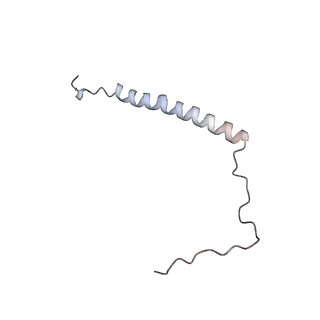 4685_6qzf_R_v1-2
The cryo-EM structure of the collar complex and tail axis in genome emptied bacteriophage phi29