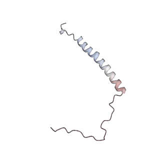 4685_6qzf_U_v1-2
The cryo-EM structure of the collar complex and tail axis in genome emptied bacteriophage phi29