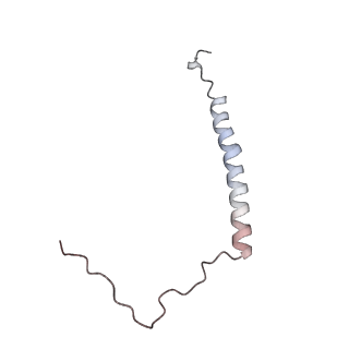 4685_6qzf_X_v1-2
The cryo-EM structure of the collar complex and tail axis in genome emptied bacteriophage phi29