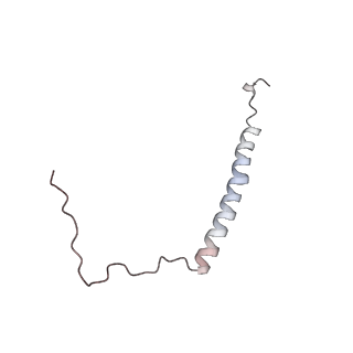 4685_6qzf_a_v1-2
The cryo-EM structure of the collar complex and tail axis in genome emptied bacteriophage phi29