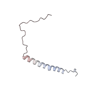 4685_6qzf_j_v1-2
The cryo-EM structure of the collar complex and tail axis in genome emptied bacteriophage phi29