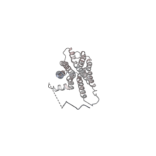 14221_7r0c_A_v1-0
Structure of the AVP-V2R-arrestin2-ScFv30 complex