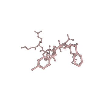 14221_7r0c_B_v1-0
Structure of the AVP-V2R-arrestin2-ScFv30 complex