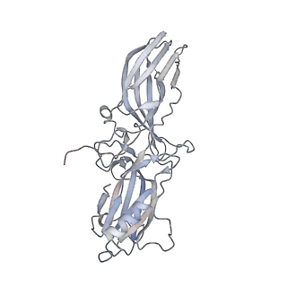 14221_7r0c_C_v1-0
Structure of the AVP-V2R-arrestin2-ScFv30 complex