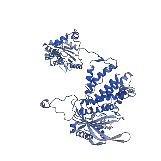 14222_7r0e_A_v1-1
Early transcription elongation state of influenza A/H7N9 polymerase backtracked due to double incoproation of nucleotide analogue T1106 and with singly incoporated T1106 at the +1 position