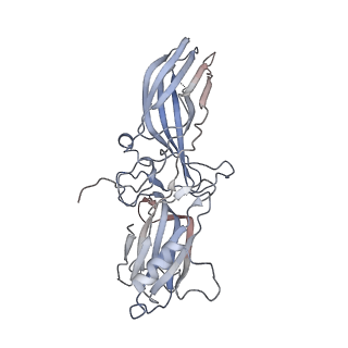 14223_7r0j_C_v1-0
Structure of the V2 receptor Cter-arrestin2-ScFv30 complex