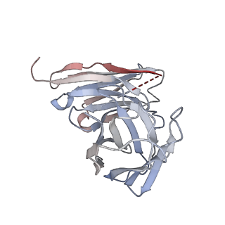 14223_7r0j_D_v1-0
Structure of the V2 receptor Cter-arrestin2-ScFv30 complex