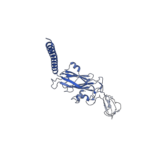 14224_7r0w_C_v1-1
2.8 Angstrom cryo-EM structure of the dimeric cytochrome b6f-PetP complex from Synechocystis sp. PCC 6803 with natively bound lipids and plastoquinone molecules
