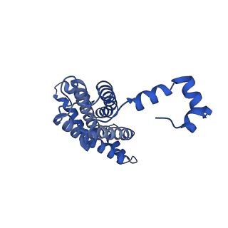 14224_7r0w_I_v1-1
2.8 Angstrom cryo-EM structure of the dimeric cytochrome b6f-PetP complex from Synechocystis sp. PCC 6803 with natively bound lipids and plastoquinone molecules