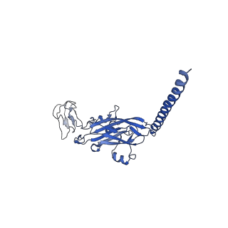 14224_7r0w_K_v1-1
2.8 Angstrom cryo-EM structure of the dimeric cytochrome b6f-PetP complex from Synechocystis sp. PCC 6803 with natively bound lipids and plastoquinone molecules