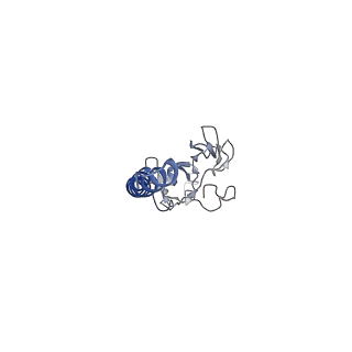 14224_7r0w_L_v1-1
2.8 Angstrom cryo-EM structure of the dimeric cytochrome b6f-PetP complex from Synechocystis sp. PCC 6803 with natively bound lipids and plastoquinone molecules