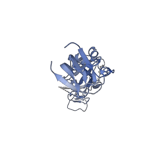 14225_7r0z_A_v1-1
Dissociated S1 domain of Alpha Variant SARS-CoV-2 Spike bound to ACE2 (Non-Uniform Refinement)