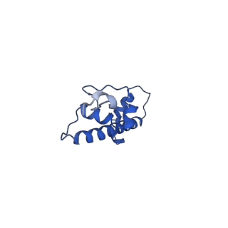 4692_6r0c_C_v1-1
Human-D02 Nucleosome Core Particle with biotin-streptavidin label