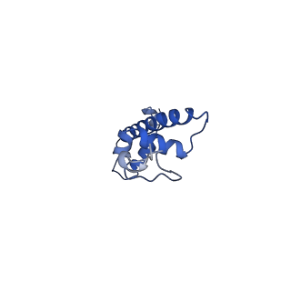 4692_6r0c_G_v1-1
Human-D02 Nucleosome Core Particle with biotin-streptavidin label