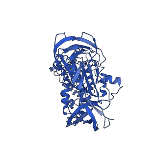 4699_6r0w_A_v1-3
Thermus thermophilus V/A-type ATPase/synthase, rotational state 2