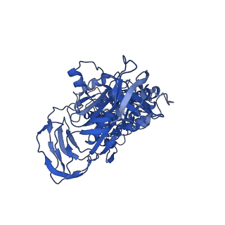 4699_6r0w_B_v1-3
Thermus thermophilus V/A-type ATPase/synthase, rotational state 2