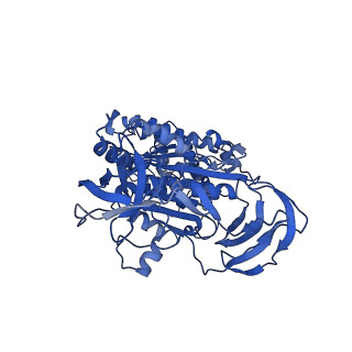 4699_6r0w_C_v1-3
Thermus thermophilus V/A-type ATPase/synthase, rotational state 2