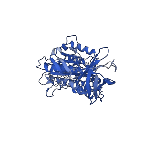 4699_6r0w_D_v1-3
Thermus thermophilus V/A-type ATPase/synthase, rotational state 2