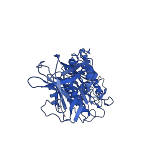 4699_6r0w_E_v1-3
Thermus thermophilus V/A-type ATPase/synthase, rotational state 2