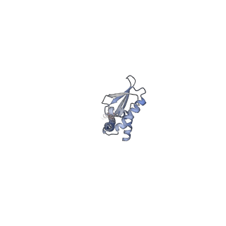 4699_6r0w_J_v1-3
Thermus thermophilus V/A-type ATPase/synthase, rotational state 2