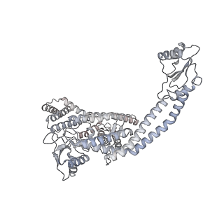 4699_6r0w_N_v1-3
Thermus thermophilus V/A-type ATPase/synthase, rotational state 2