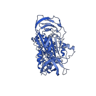4700_6r0y_A_v1-3
Thermus thermophilus V/A-type ATPase/synthase, rotational state 3